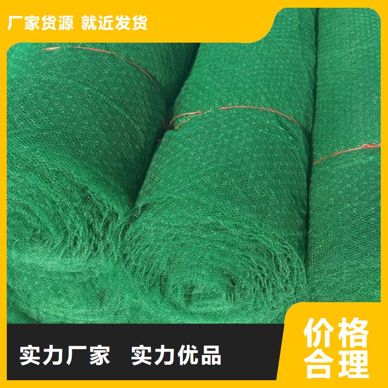 三维植被网防渗膜保质保量本地生产商