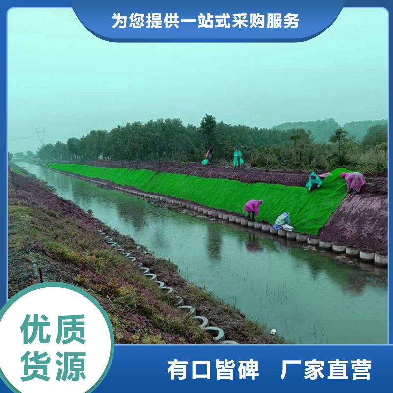 三维植被网,土工格栅诚信厂家保障产品质量
