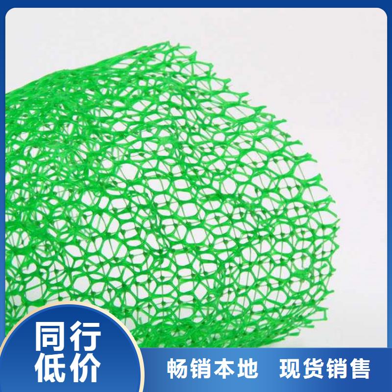 三维植被网,玻璃纤维土工格栅专业按需定制畅销本地