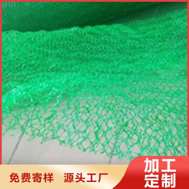 三维植被网-HDPE土工膜买的放心安兴用的舒心严选好货