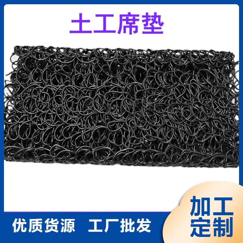 【土工席垫双向塑料土工格栅现货供应】支持拿样
