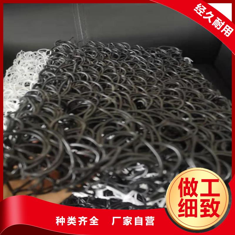 土工席垫生态带符合标准当地制造商