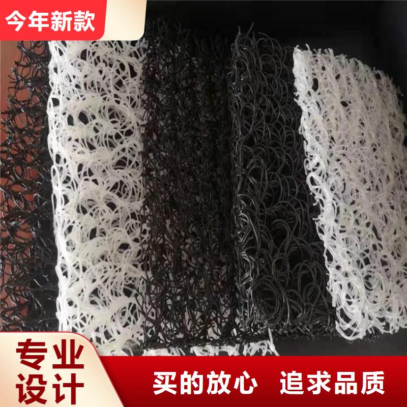 土工席垫塑料土工格栅实拍展现现货充裕