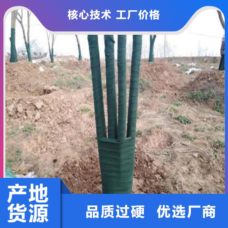 【裹树布塑料土工格栅诚信厂家】自营品质有保障