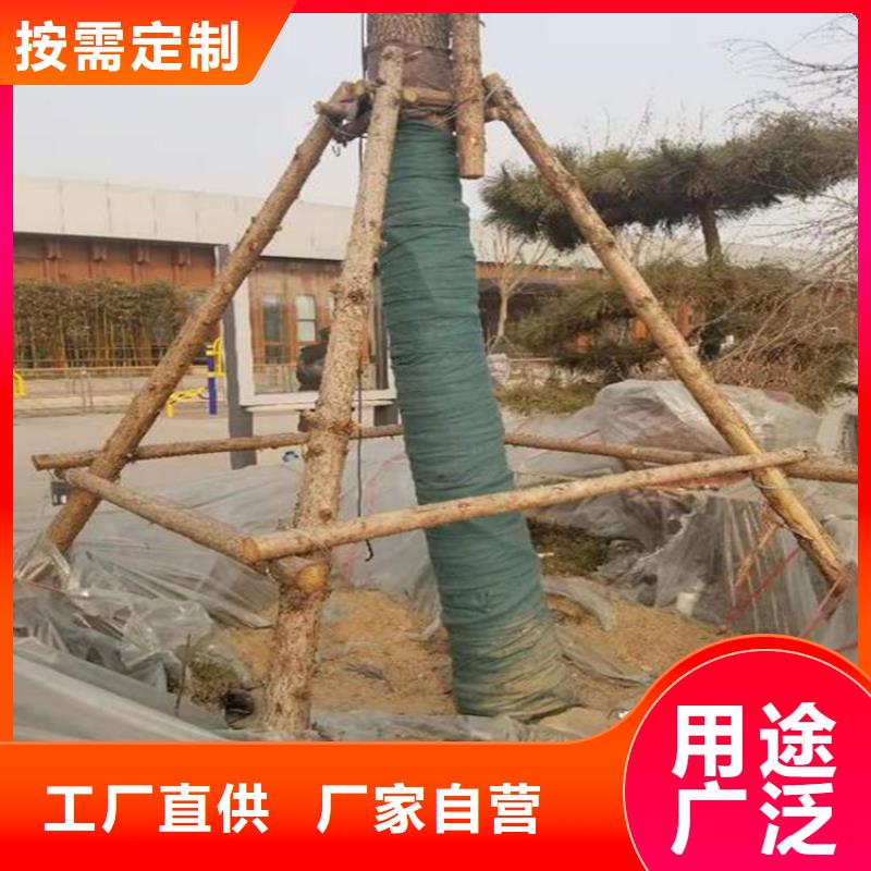裹树布【土工膜】真正让利给买家敢与同行比服务