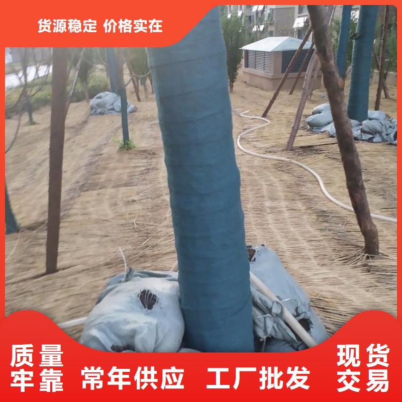 裹树布聚酯长丝土工布直销厂家当地公司