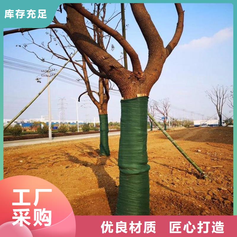 裹树布【防水板】的简单介绍型号全价格低