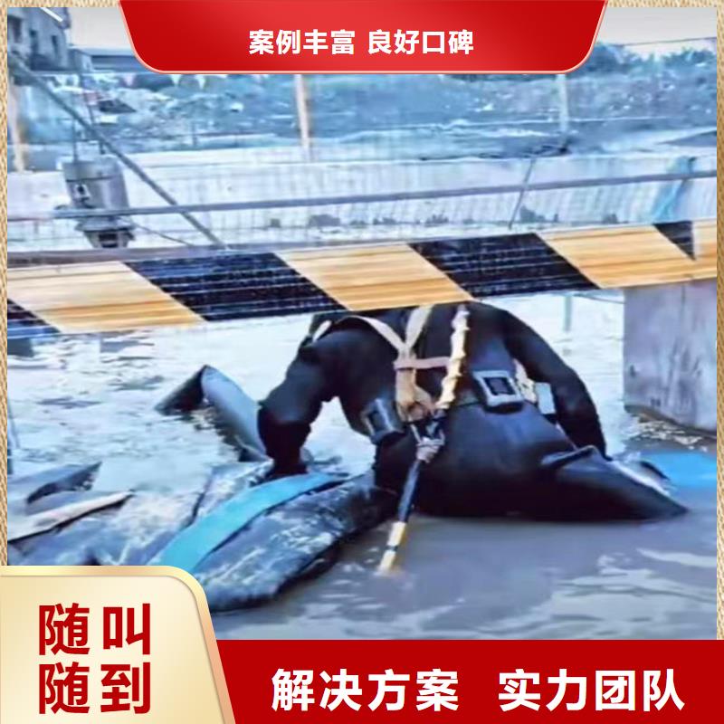 【水下作业潜水员服务_本地潜水打捞匠心品质】专业品质