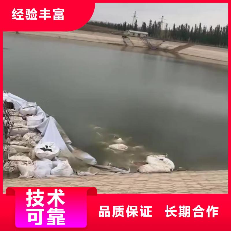 水下作业潜水员服务,本地潜水打捞效果满意为止本地经销商