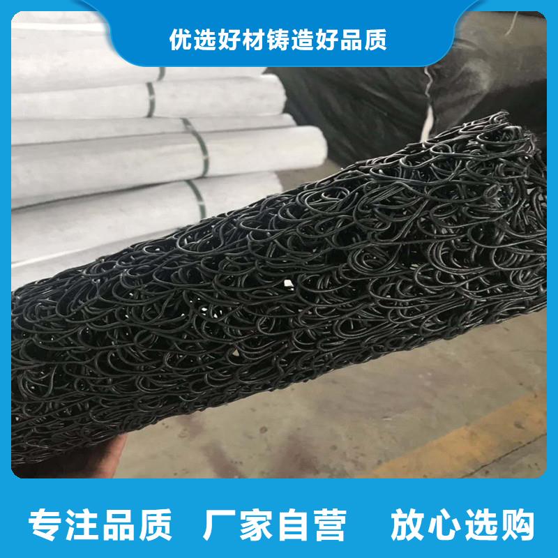 复合土工排水垫生产厂家您想要的我们都有