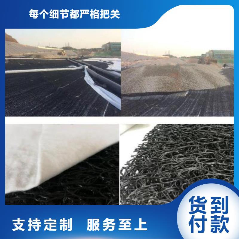 渗排水网垫报价怎么卖专注生产制造多年
