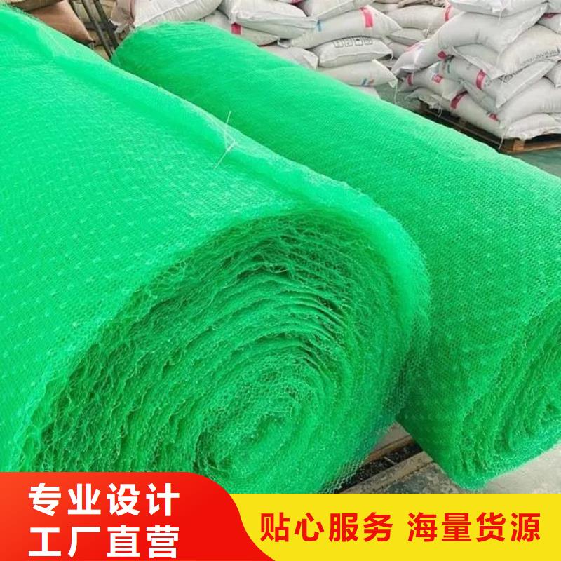三维植被网-土工布好货直供精工细作品质优良