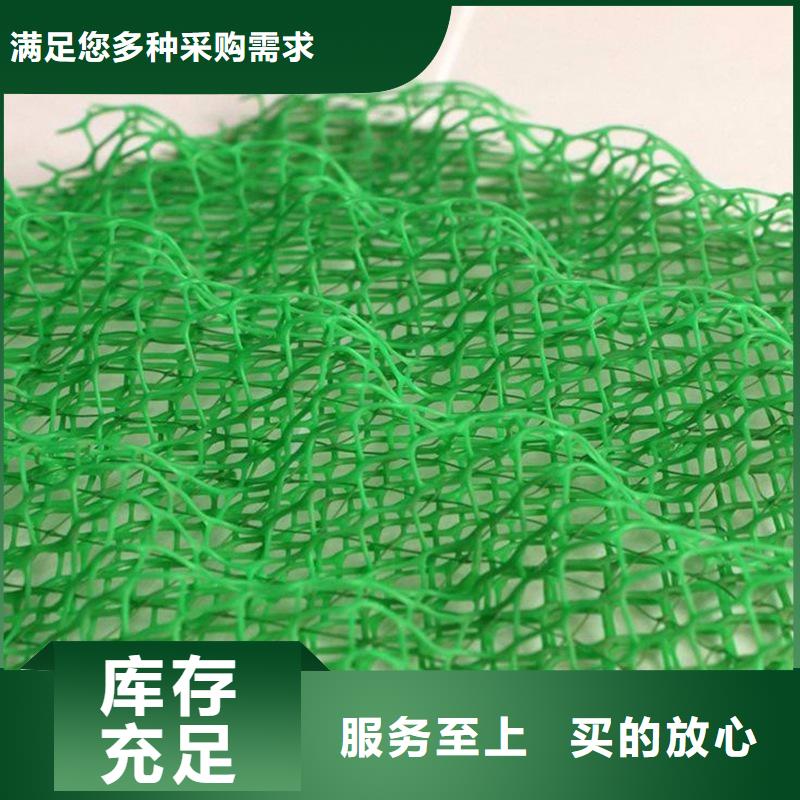 三维植被网仿钢塑钢纤维真正的源头厂家诚信商家服务热情