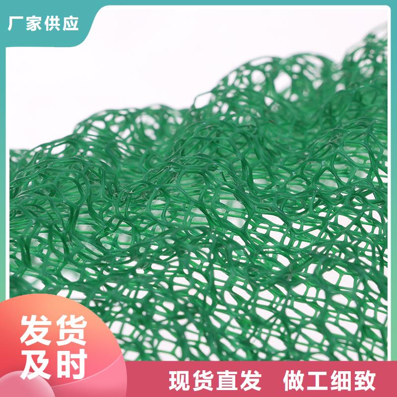 【三维植被网】止水铜片厂家定制经验丰富品质可靠