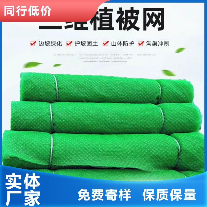 【三维植被网聚乙烯醇纤维海量现货直销】当地货源