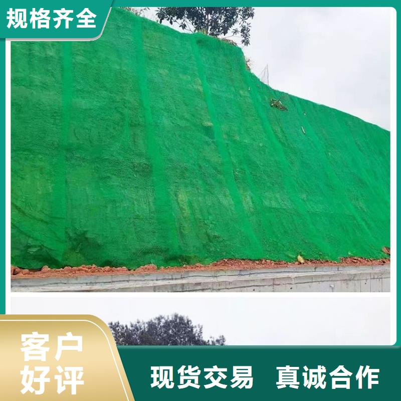 【三维植被网】-聚丙烯单丝纤维源头厂家直销本地厂家