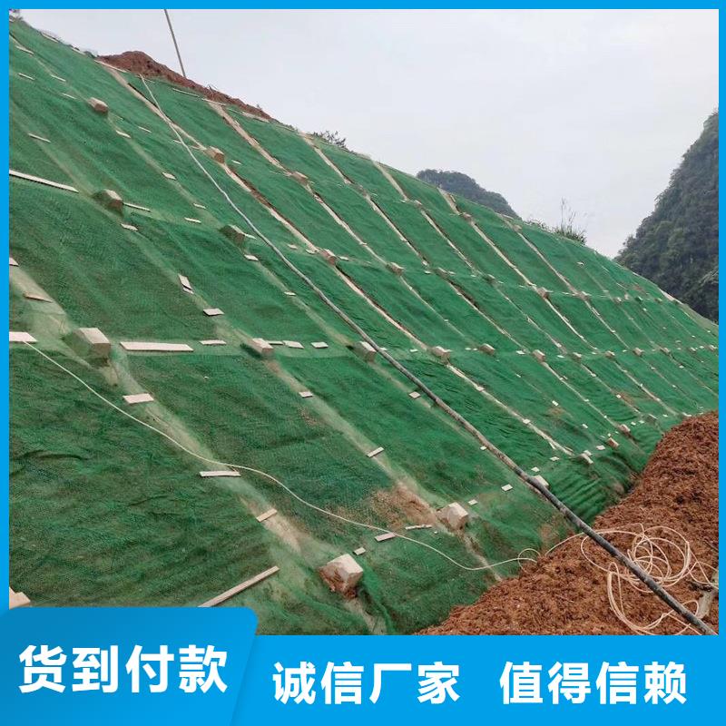 【三维植被网】紫铜止水片品质保证细节决定品质