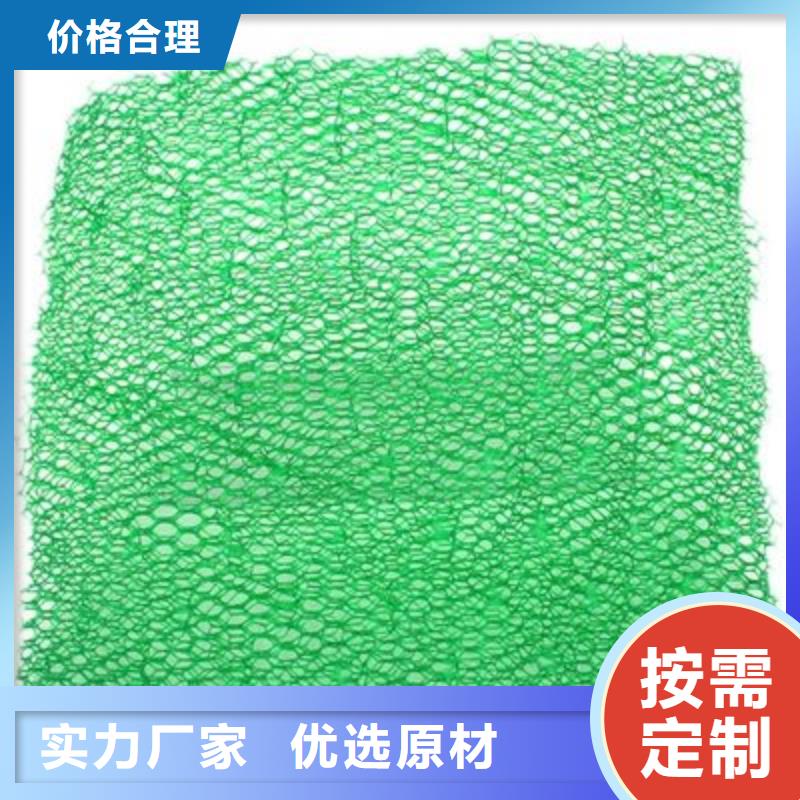 三维植被网土工布快捷的物流配送现货销售