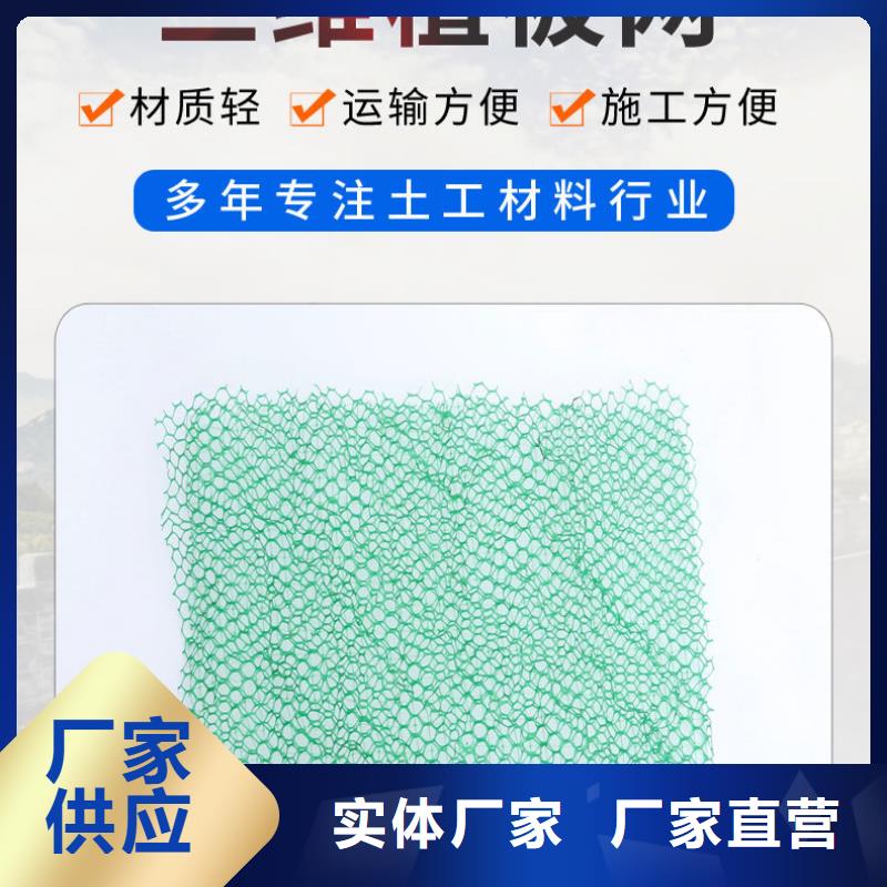 【三维植被网】聚丙烯纤维高品质诚信厂家现货充足