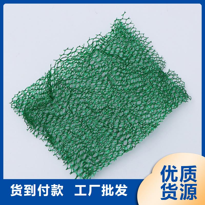 三维植被网,土工格栅性价比高同城货源