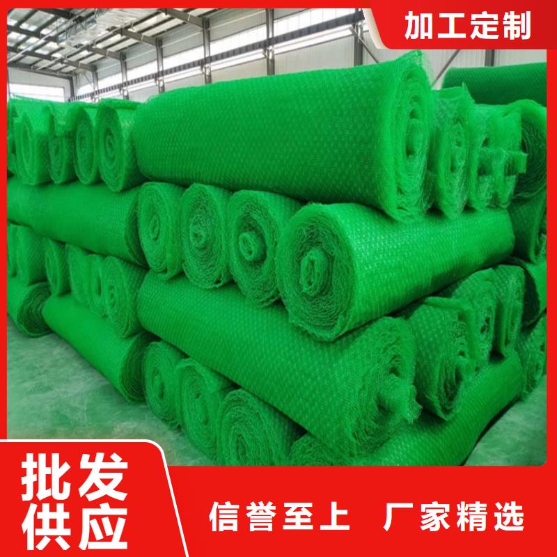 【三维植被网_紫铜止水片诚信经营质量保证】质量为本