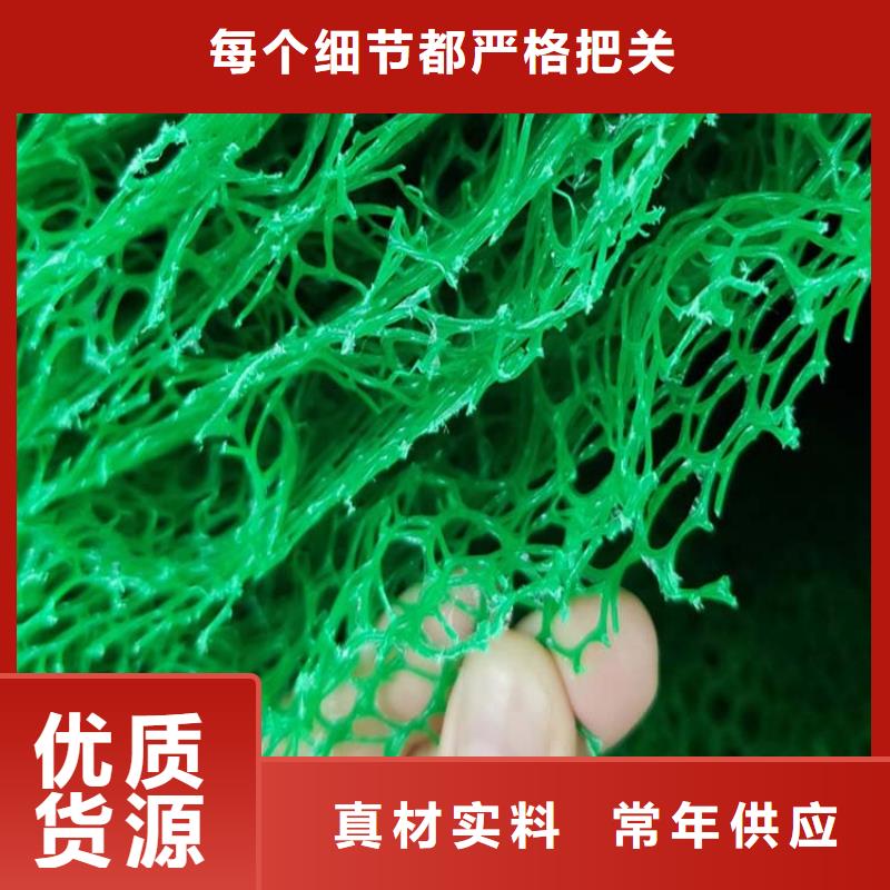 三维植被网聚丙烯纤维诚信经营质量保证多年行业经验