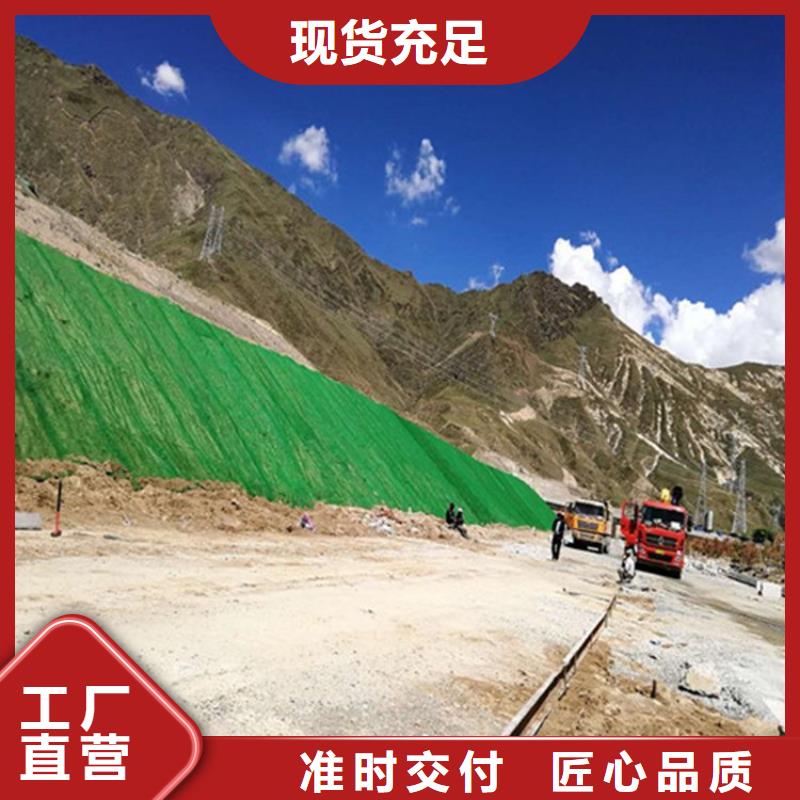 三维植被网【土工膜】厂家现货批发细节决定品质