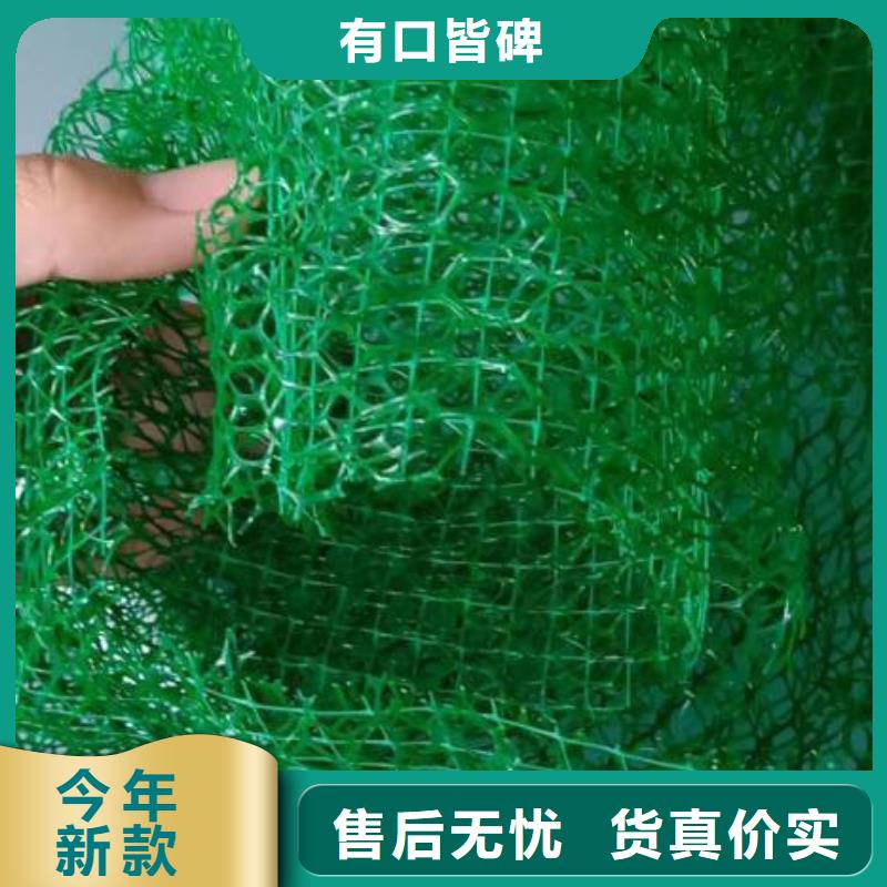 三维植被网紫铜止水片厂家现货供应精致工艺