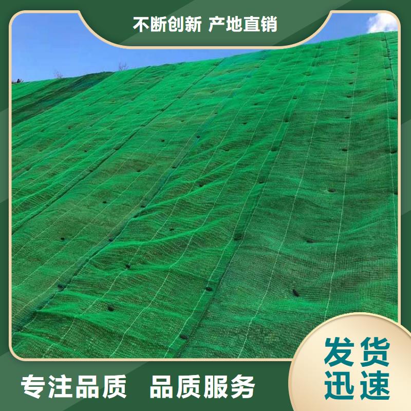 三维植被网-【铜止水生产厂家】货源直供多种规格库存充足