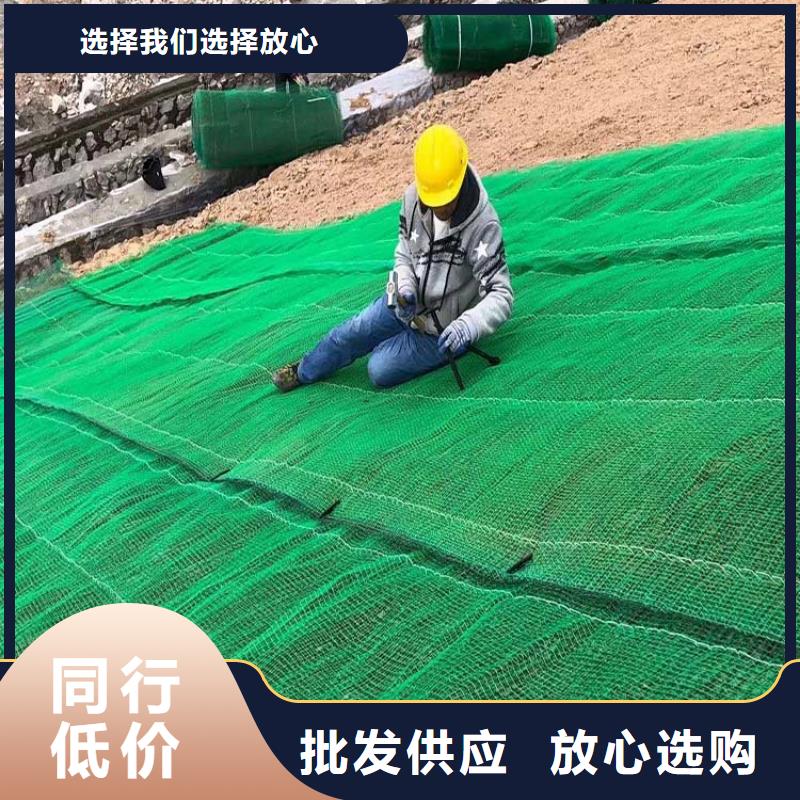 三维植被网_铜止水经销商真正的源头厂家