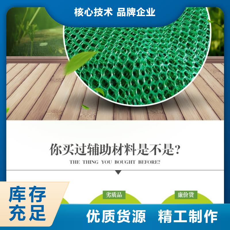 【三维植被网】-螺旋形聚乙烯醇纤维厂家直销供货稳定同城货源