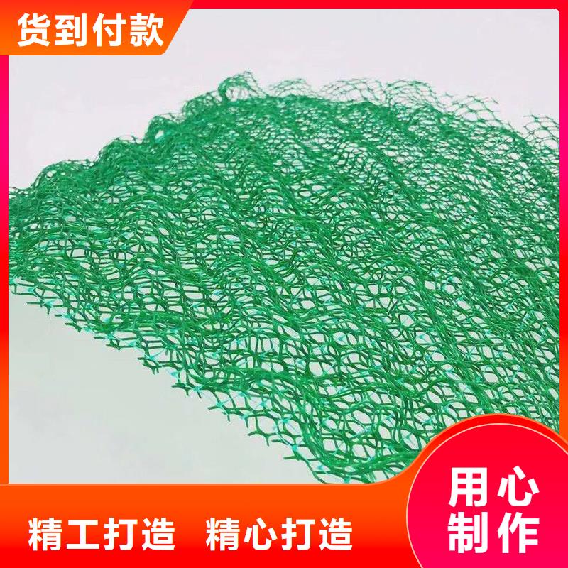 三维植被网,螺旋形聚乙烯醇纤维精工打造厂家直销