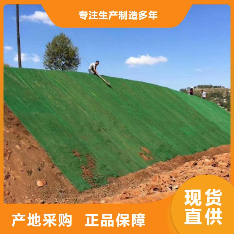 【三维植被网】渗水盲管品类齐全实时报价