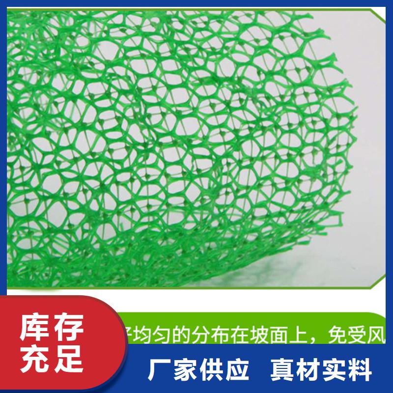 三维植被网土工膜真正的源头厂家当地制造商