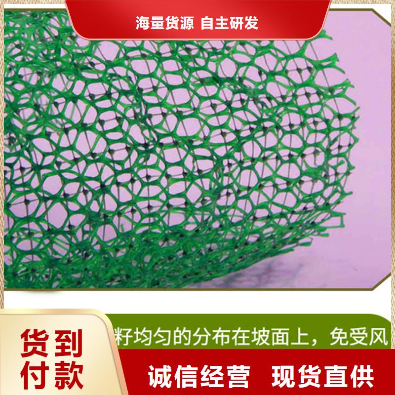 三维植被网【止水铜片】厂家规格全本地经销商