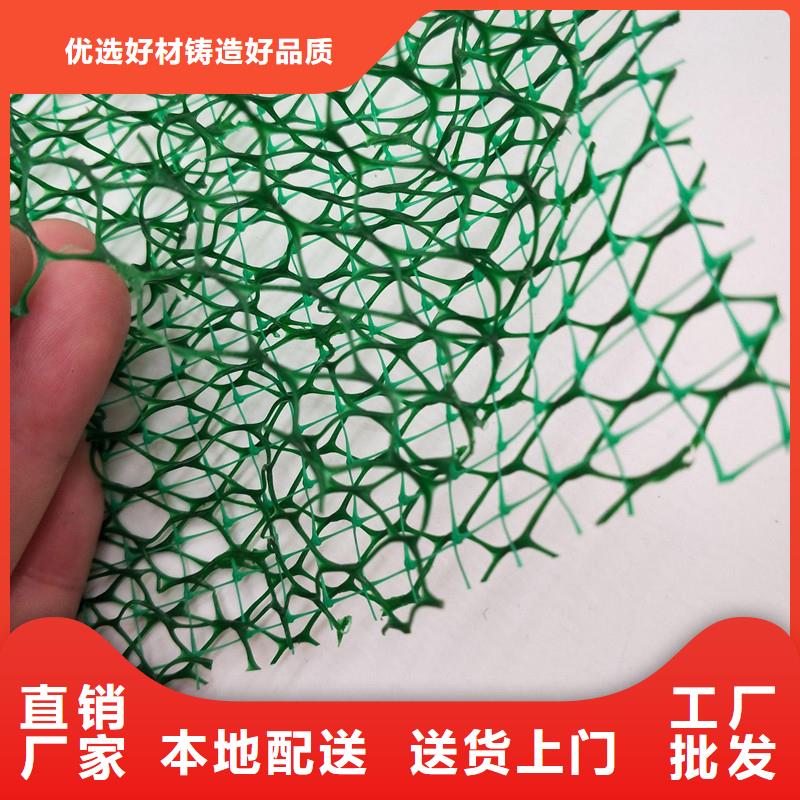 三维植被网止水铜片放心选购当地生产厂家