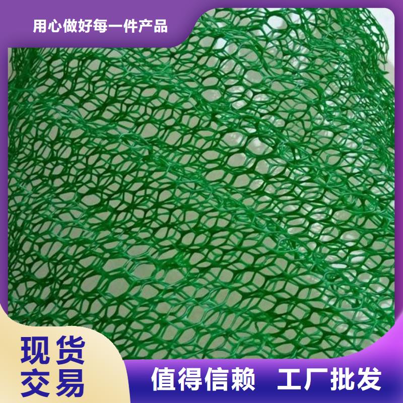 【三维植被网】,排水盲管服务至上N年专注
