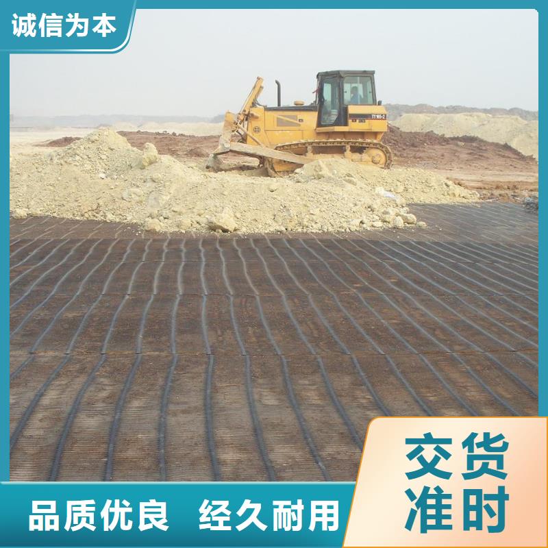 土工格栅规格价格行情价格当地品牌