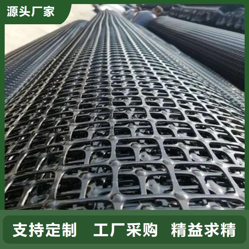 塑料土工格栅图片及价格提供定制库存充足