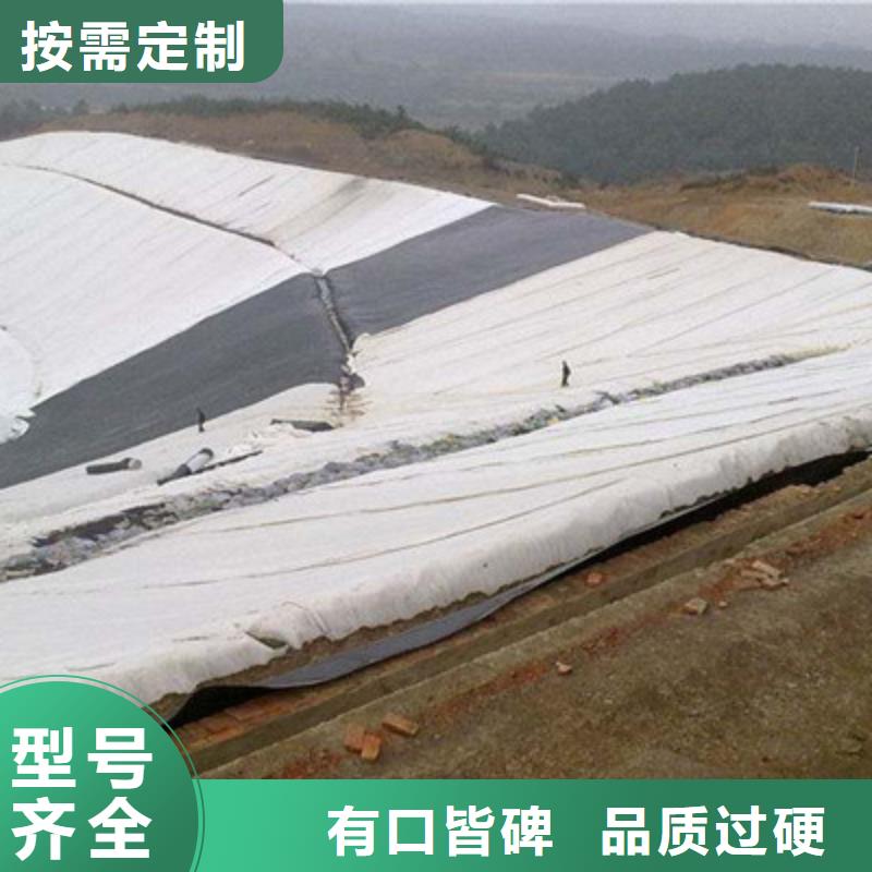 土工布止水铜片厂家厂家实力大当地制造商