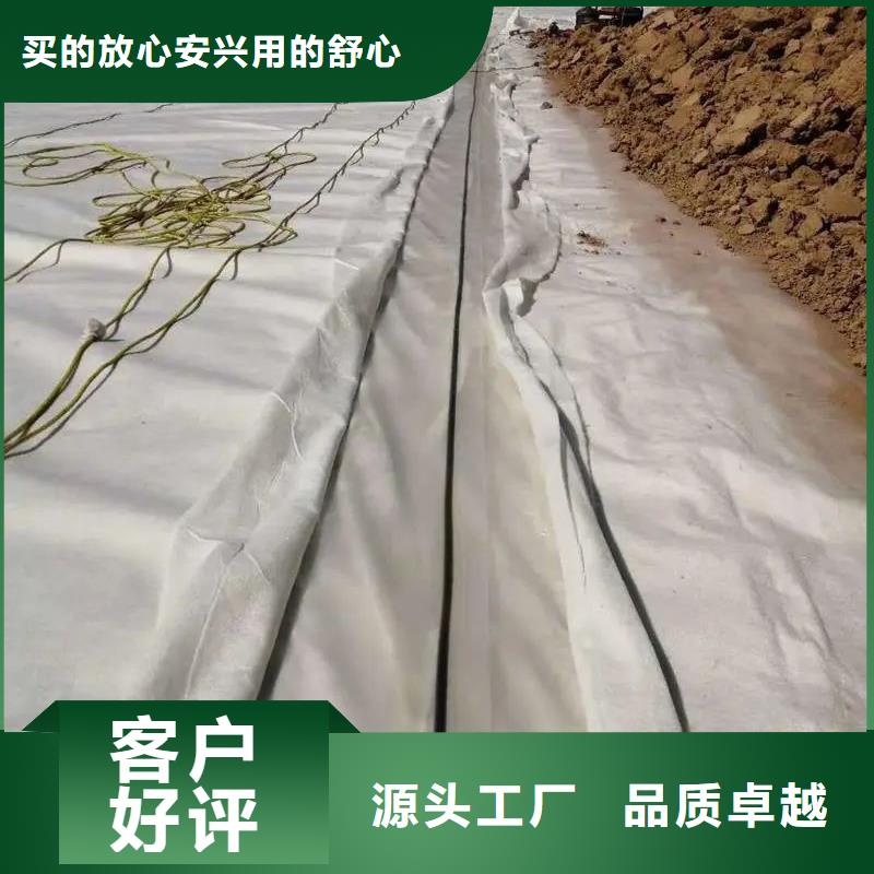 土工布【聚丙烯腈纤维】颜色尺寸款式定制严谨工艺