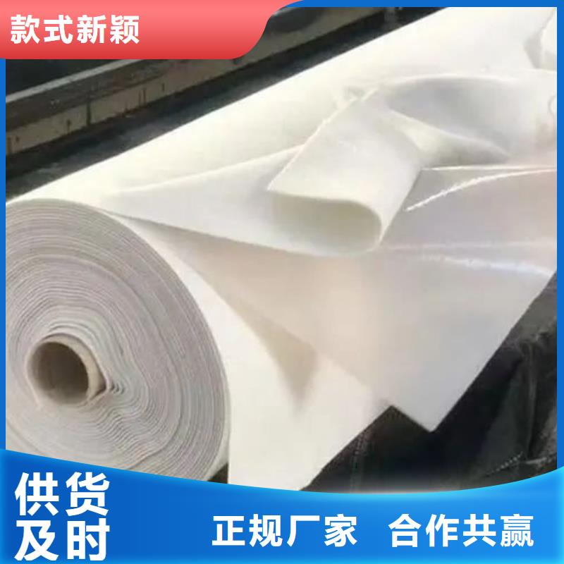 土工布-软式透水管源头厂商款式多样