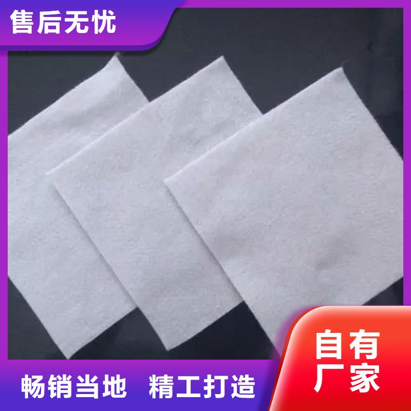 土工布剪切钢纤维行业优选专业厂家