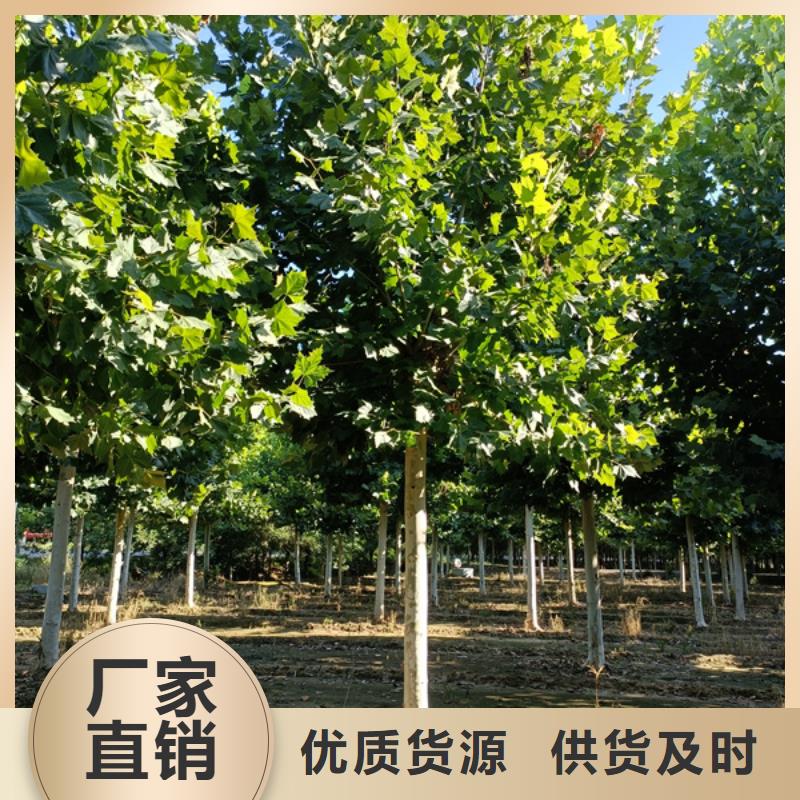 ​法桐自主研发让利客户