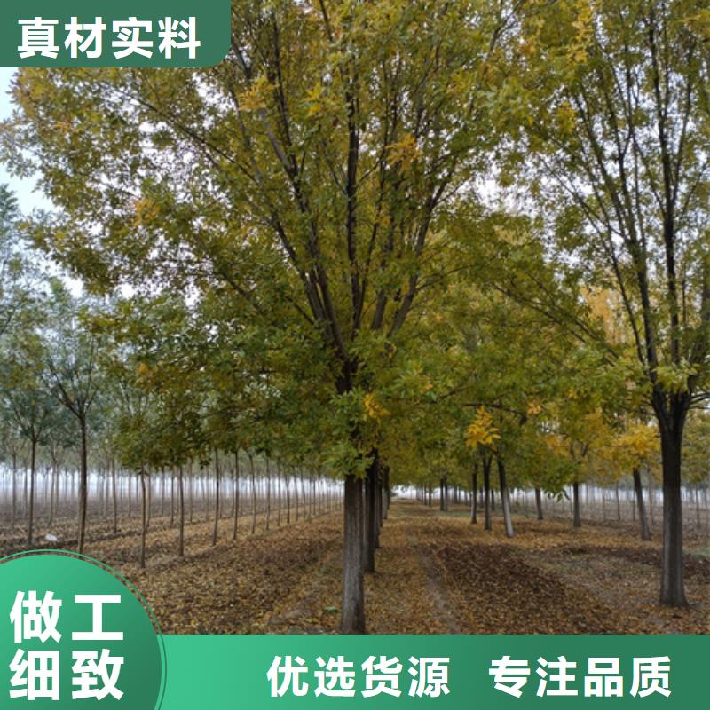 法桐实力公司专注产品质量与服务