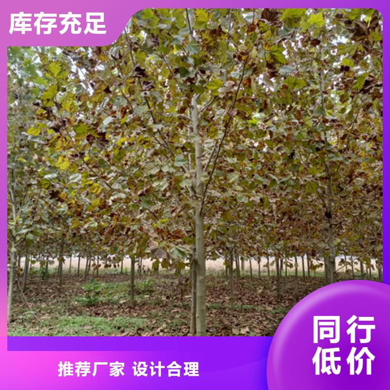 ​法桐北京栾检验发货详细参数
