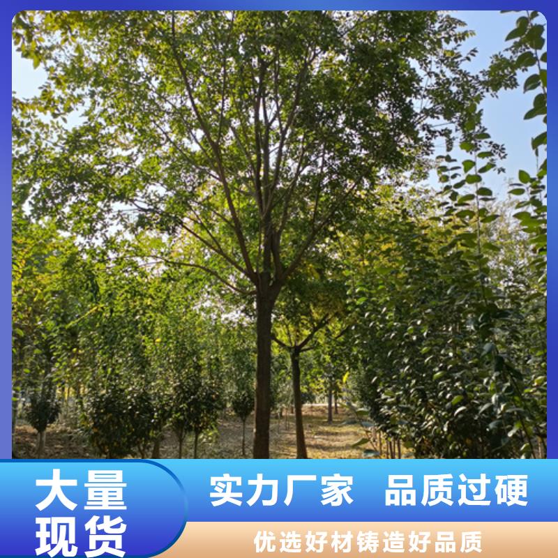 法桐快捷的物流配送源头把关放心选购