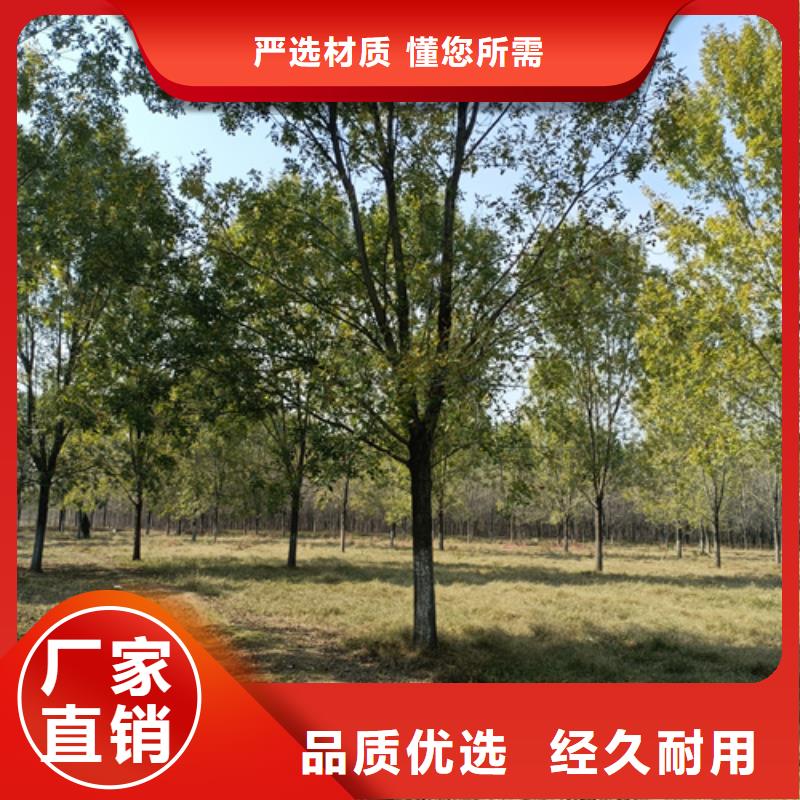 法桐专注细节专注品质快捷物流
