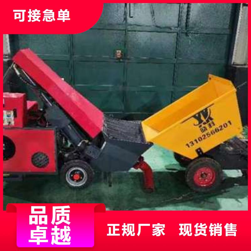 二次构造柱泵N年专注本地生产厂家