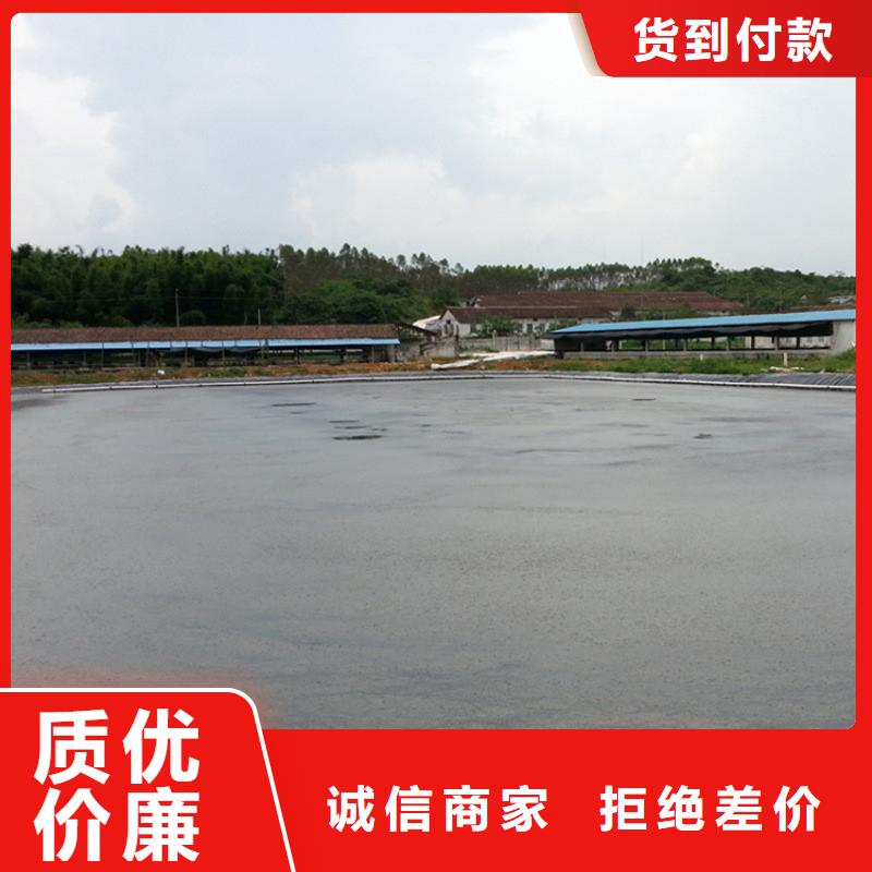土工膜膨润土防水毯打造行业品质本地生产厂家
